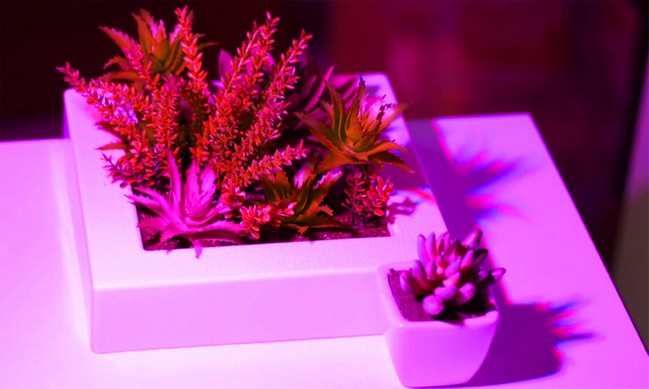 200 светодиодная лампа для выращивания растений